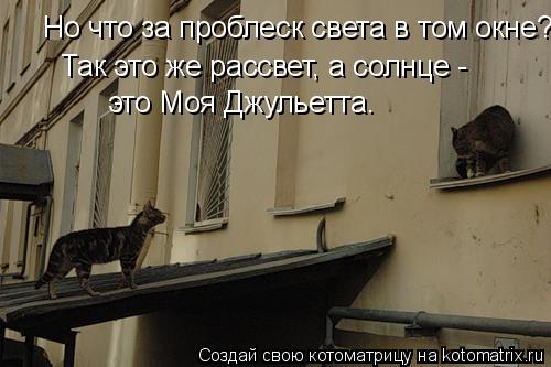 Но что за проблеск света в том окне? Так это же рассвет, а солнце - это Моя Джульетта.... Котоматрица: Но что за проблеск света в том окне? Так это же рассвет, а солнце - это Моя Джульетта.