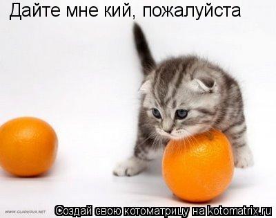 Дайте мне кий, пожалуйста... Котоматрица: Дайте мне кий, пожалуйста