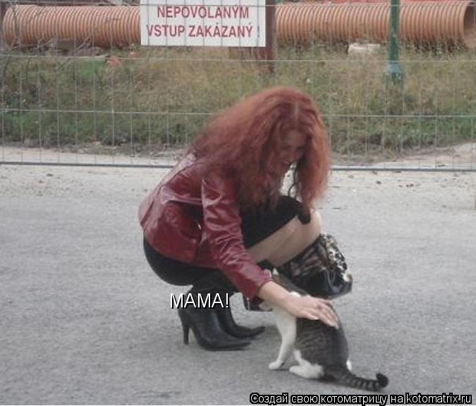 МАМА!... Котоматрица: МАМА!