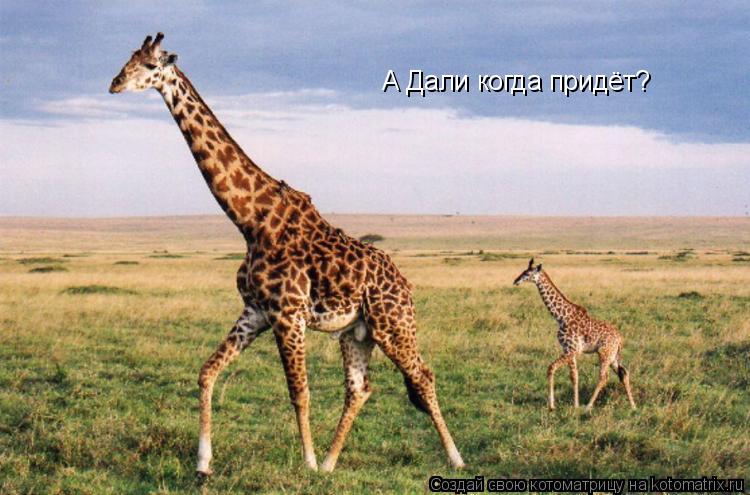 А Дали когда придёт?... Котоматрица: А Дали когда придёт?