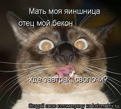 Мать моя яиншница отец мой бекон хде завтрак, сволочи?... Котоматрица: Мать моя яиншница отец мой бекон хде завтрак, сволочи?