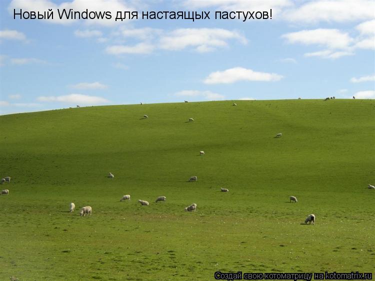 Новый Windows для настаящых пастухов!... Котоматрица: Новый Windows для настаящых пастухов!