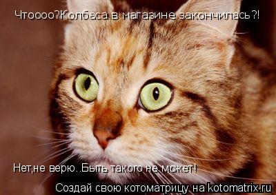 Чтоооо?Колбаса в магазине закончилась?! Нет,не верю..Быть такого не может!... Котоматрица: Чтоооо?Колбаса в магазине закончилась?! Нет,не верю..Быть такого не может!