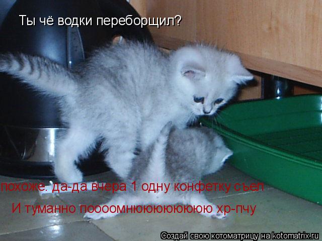 Ты чё водки переборщил? похоже. да-да вчера 1 одну конфетку съел и тумманнноо помнююхр похоже. да-да ... Котоматрица: Ты чё водки переборщил? похоже. да-да вчера 1 одну конфетку съел и тумманнноо помнююхр похоже. да-да вчера 1 одну конфетку съел похоже. да-да в