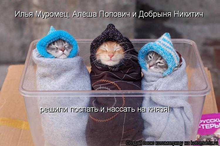 Илья Муромец, Алёша Попович и Добрыня Никитич решили поспать и нассать на князя!... Котоматрица: Илья Муромец, Алёша Попович и Добрыня Никитич решили поспать и нассать на князя!