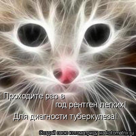 Проходите раз в год рентген легких! Для диагности туберкулеза!... Котоматрица: Проходите раз в год рентген легких! Для диагности туберкулеза!