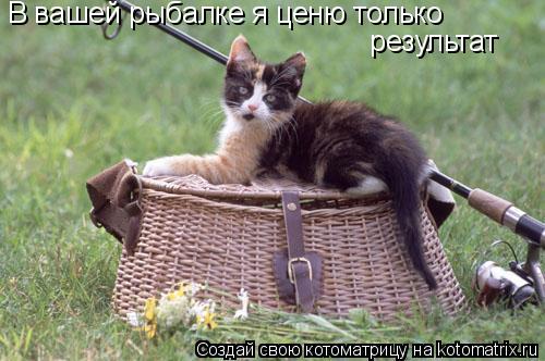 В вашей рыбалке я ценю только результат... Котоматрица: В вашей рыбалке я ценю только результат