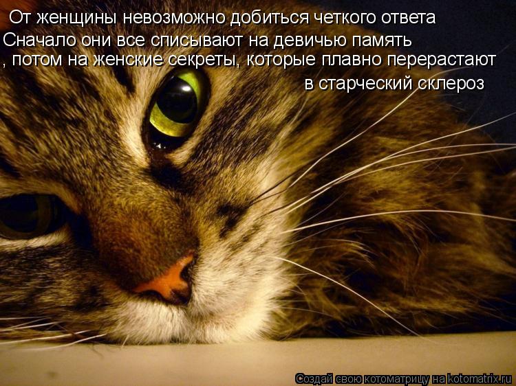 От женщины невозможно добиться четкого ответа Сначало они все списывают на девичью память , потом на ... Котоматрица: От женщины невозможно добиться четкого ответа Сначало они все списывают на девичью память , потом на женские секреты, которые плавно перер