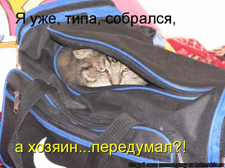 Я уже, типа, собрался, а хозяин...передумал?!... Котоматрица: Я уже, типа, собрался, а хозяин...передумал?!