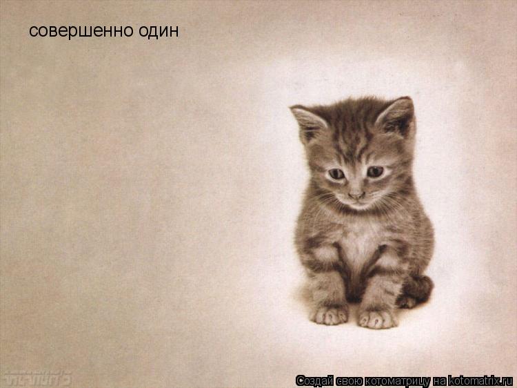 совершенно один... Котоматрица: совершенно один
