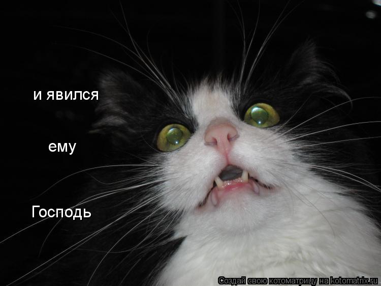 и явился ему Господь... Котоматрица: и явился ему Господь