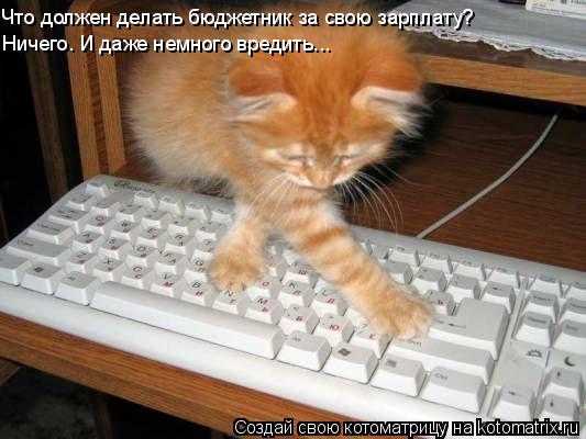 Что должен делать бюджетник за свою зарплату? Ничего. И даже немного вредить...... Котоматрица: Что должен делать бюджетник за свою зарплату? Ничего. И даже немного вредить...
