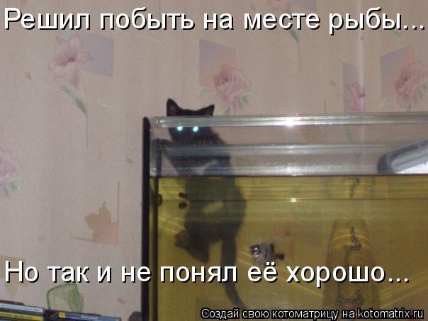 Решил побыть на месте рыбы... Но так и не понял её хорошо...... Котоматрица: Решил побыть на месте рыбы... Но так и не понял её хорошо...