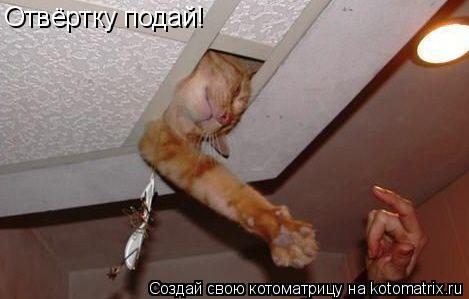 Отвёртку подай!... Котоматрица: Отвёртку подай!