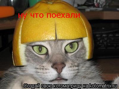 ну что поехали... Котоматрица: ну что поехали