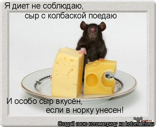 Я диет не соблюдаю, И особо сыр вкусён, если в норку унесен! сыр с колбаской поедаю... Котоматрица: Я диет не соблюдаю, И особо сыр вкусён, если в норку унесен! сыр с колбаской поедаю