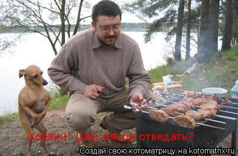 Хозяин! Даш мясца отведать?... Котоматрица: Хозяин! Даш мясца отведать?
