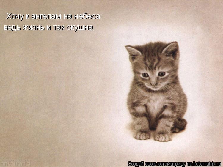 Хочу к ангелам на небеса вед жизнь и так скушна ведь жизнь и так скушна... Котоматрица: Хочу к ангелам на небеса вед жизнь и так скушна ведь жизнь и так скушна