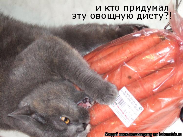 и кто придумал эту овощную диету?!... Котоматрица: и кто придумал эту овощную диету?!