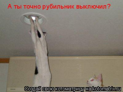 А ты точно рубильник выключил?... Котоматрица: А ты точно рубильник выключил?