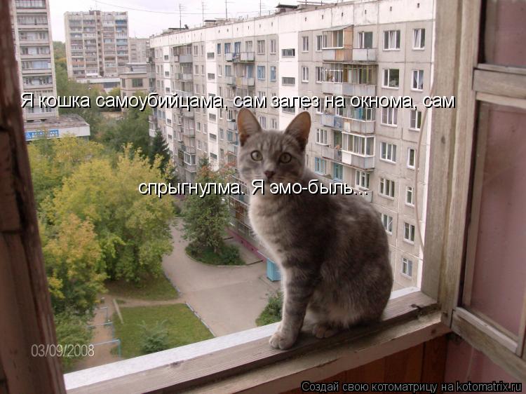спрыгнулма. Я эмо-быль... Я кошка самоубийцама, сам залез на окнома, сам... Котоматрица: спрыгнулма. Я эмо-быль... Я кошка самоубийцама, сам залез на окнома, сам