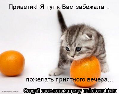 пожелать приятного вечера... Приветик! Я тут к Вам забежала...... Котоматрица: пожелать приятного вечера... Приветик! Я тут к Вам забежала...
