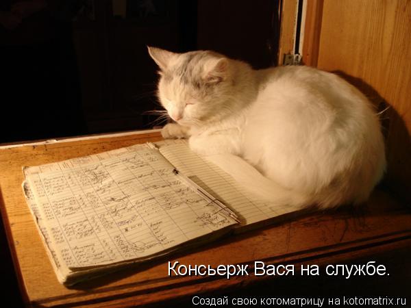 Консьерж Вася на службе.... Котоматрица: Консьерж Вася на службе.