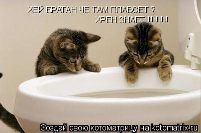 ХЕЙ БРАТАН ЧЕ ТАМ ПЛАВОЕТ ? ХРЕН ЗНАЕТ!!!!!!!!!... Котоматрица: ХЕЙ БРАТАН ЧЕ ТАМ ПЛАВОЕТ ? ХРЕН ЗНАЕТ!!!!!!!!!