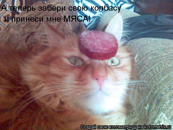 А теперь забери свою колбасу и принеси мне МЯСА!... Котоматрица: А теперь забери свою колбасу и принеси мне МЯСА!