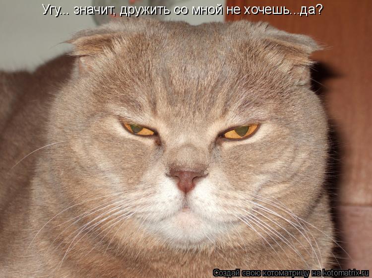 Угу... значит, дружить со мной не хочешь...да?... Котоматрица: Угу... значит, дружить со мной не хочешь...да?