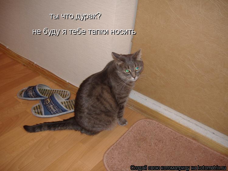 ты что,дурак? не буду я тебе тапки носить... Котоматрица: ты что,дурак? не буду я тебе тапки носить