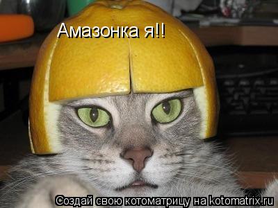 Амазонка я!!... Котоматрица: Амазонка я!!