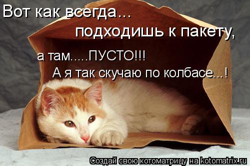 Вот как всегда... подходишь к пакету, а там.....ПУСТО!!! А я так скучаю по колбасе...!... Котоматрица: Вот как всегда... подходишь к пакету, а там.....ПУСТО!!! А я так скучаю по колбасе...!