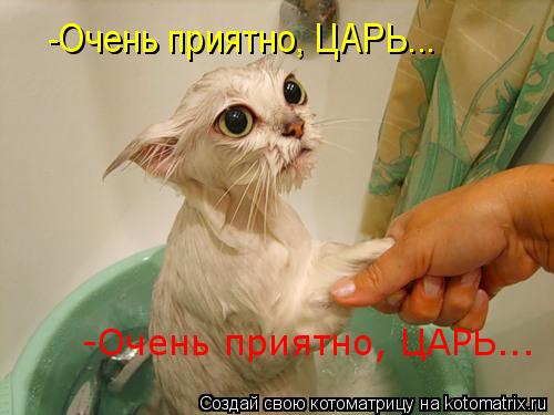 -Очень приятно, ЦАРЬ... -Очень приятно, ЦАРЬ...... Котоматрица: -Очень приятно, ЦАРЬ... -Очень приятно, ЦАРЬ...