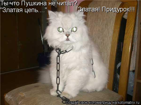 Ты что Пушкина не читал? "Златая цепь...." Златая! Придурок!!!... Котоматрица: Ты что Пушкина не читал? "Златая цепь...." Златая! Придурок!!!