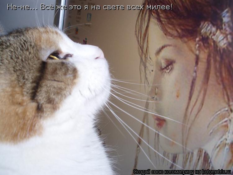 Не-не... Всё же это я на свете всех милее!... Котоматрица: Не-не... Всё же это я на свете всех милее!