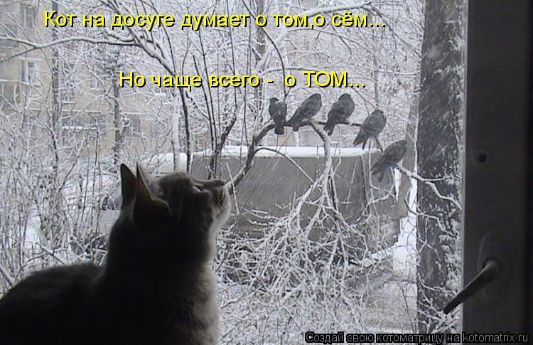Кот на досуге думает о том,о сём... Но чаще всего - о ТОМ...... Котоматрица: Кот на досуге думает о том,о сём... Но чаще всего - о ТОМ...
