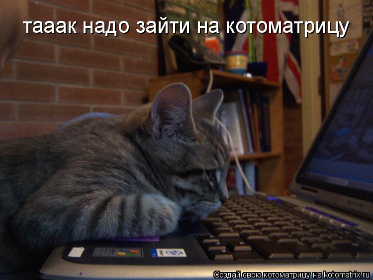 тааак надо зайти на котоматрицу... Котоматрица: тааак надо зайти на котоматрицу