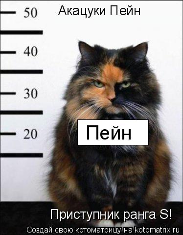 Акацуки Пейн Приступник ранга S! Пейн... Котоматрица: Акацуки Пейн Приступник ранга S! Пейн