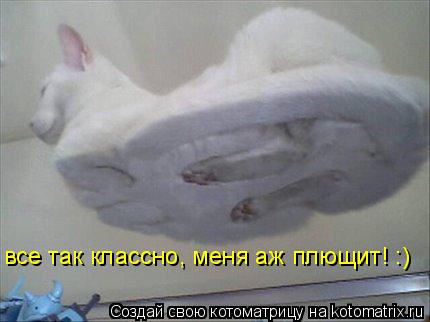 все так классно, меня аж плющит! :)... Котоматрица: все так классно, меня аж плющит! :)