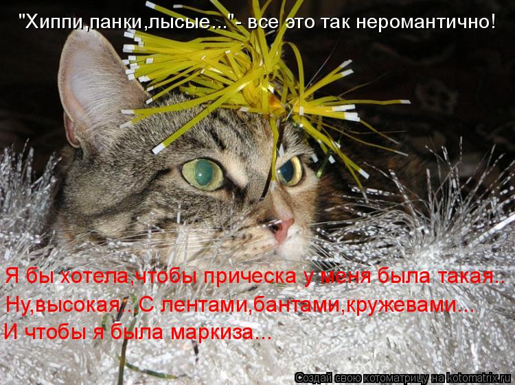 "Хиппи,панки,лысые..."- все это так неромантично! Я бы хотела,чтобы прическа у меня была такая.. Ну,в... Котоматрица: "Хиппи,панки,лысые..."- все это так неромантично! Я бы хотела,чтобы прическа у меня была такая.. Ну,высокая...С лентами,бантами,кружевами... И что