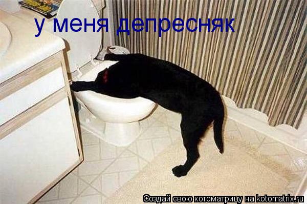 у меня депресняк... Котоматрица: у меня депресняк