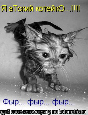 Я аТский котейкО...!!!! Фыр... фыр... фыр...... Котоматрица: Я аТский котейкО...!!!! Фыр... фыр... фыр...