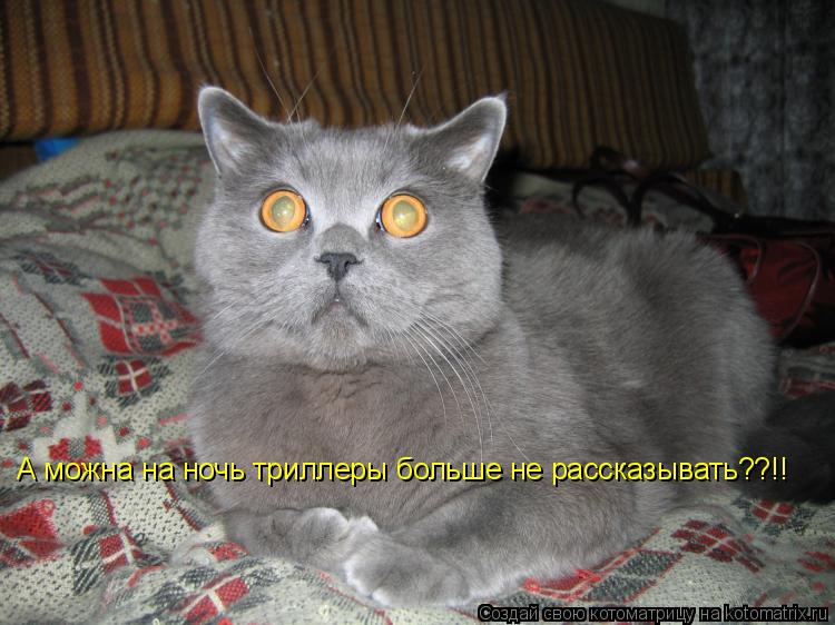 А можна на ночь триллеры больше не рассказывать??!!... Котоматрица: А можна на ночь триллеры больше не рассказывать??!!