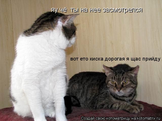 яу чё ты на нее засмотрелся вот ето киска дорогая я щас прийду... Котоматрица: яу чё ты на нее засмотрелся вот ето киска дорогая я щас прийду