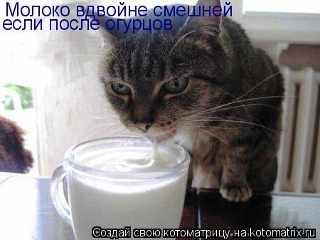 Молоко вдвойне смешней если после огурцов... Котоматрица: Молоко вдвойне смешней если после огурцов
