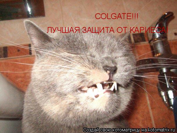 COLGATE!!! ЛУЧШАЯ ЗАЩИТА ОТ КАРИЕСА!... Котоматрица: COLGATE!!! ЛУЧШАЯ ЗАЩИТА ОТ КАРИЕСА!