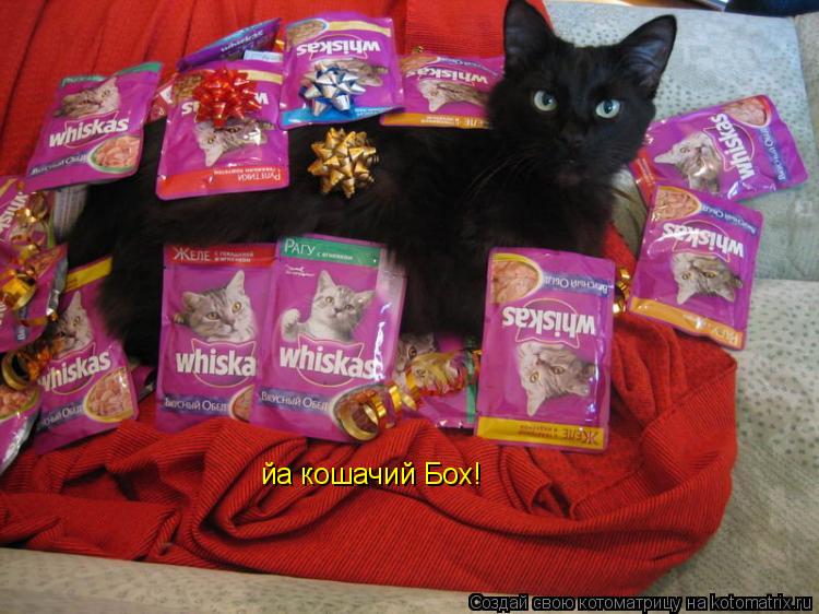 йа кошачий Бох!... Котоматрица: йа кошачий Бох!