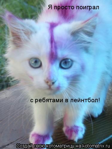 Я просто поиграл с ребятами в пейнтбол!... Котоматрица: Я просто поиграл с ребятами в пейнтбол!