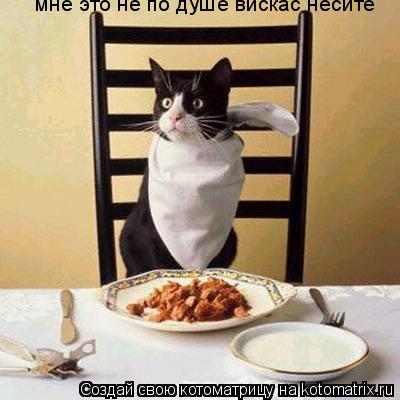 мне это не по душе вискас несите... Котоматрица: мне это не по душе вискас несите